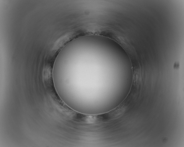 X0000113620623200910021830