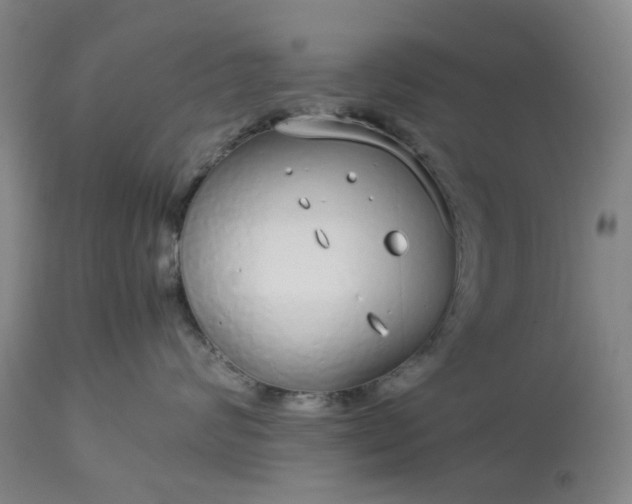 X0000113620624200910021830