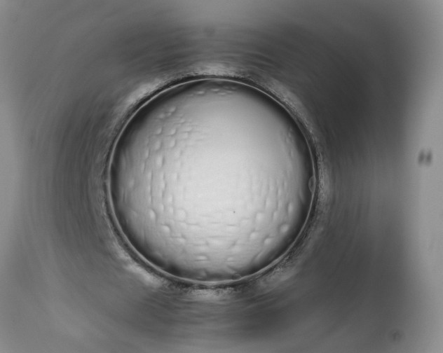 X0000113620625200910021829