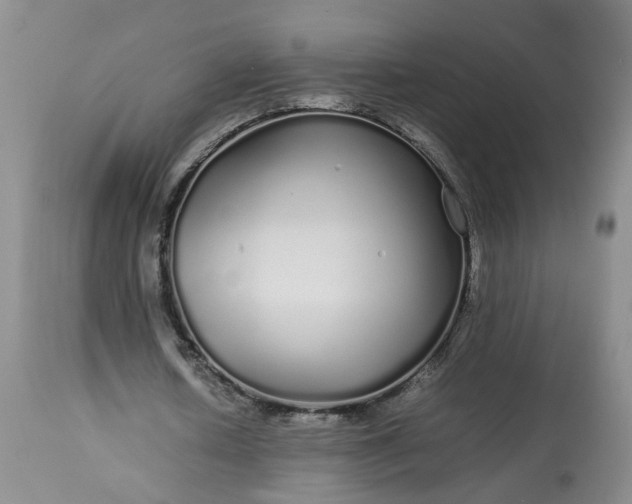 X0000113620626200910021829