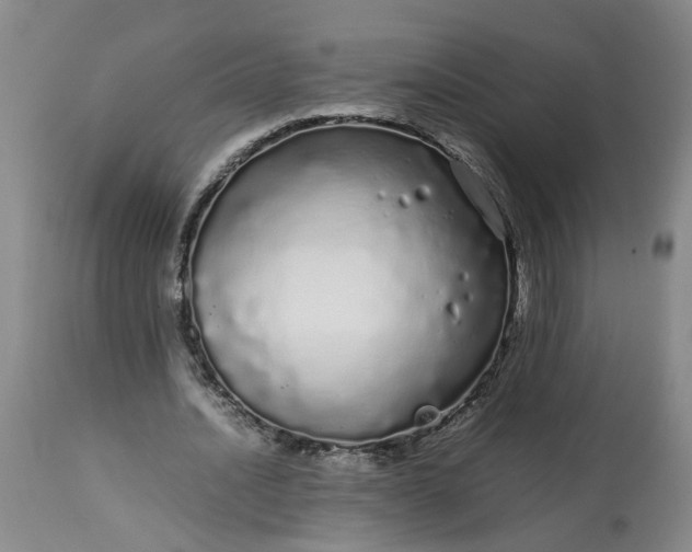 X0000113620628200910021829