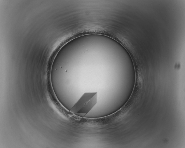 X0000113620630200910021829