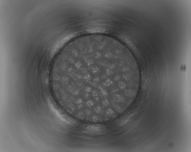 X0000113620631200910021829