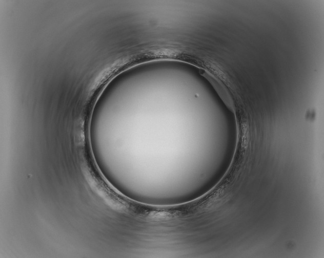 X0000113620634200910021829