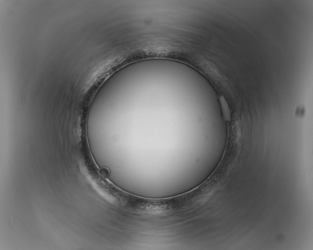 X0000113620638200910021829