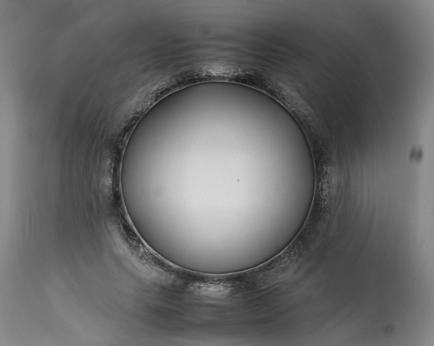 X0000113620639200910021829