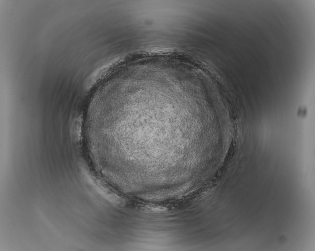 X0000113620640200910021829