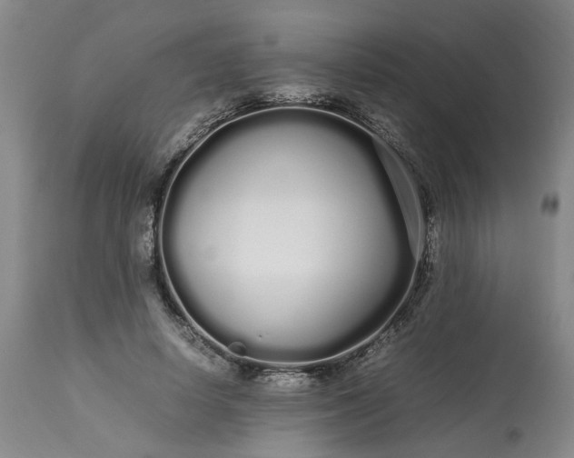 X0000113620642200910021829