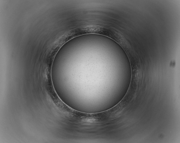 X0000113620643200910021829