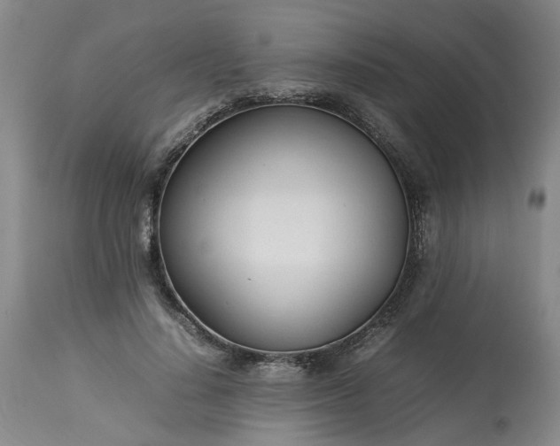 X0000113620644200910021829