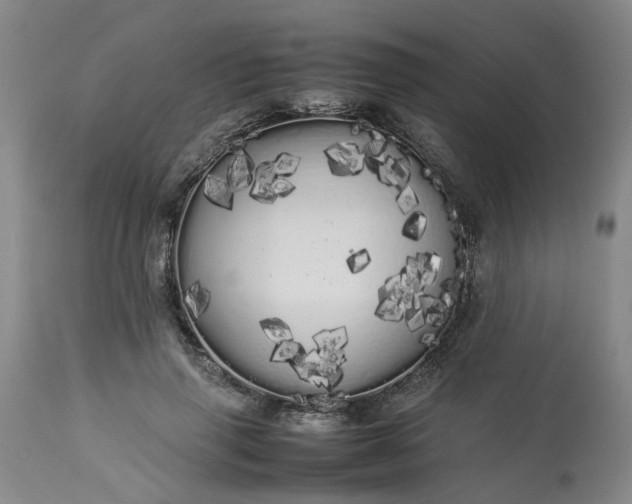 X0000113620645200910021829