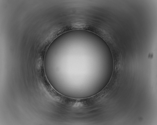 X0000113620647200910021829