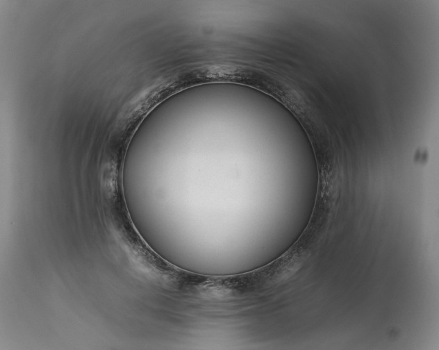 X0000113620648200910021829