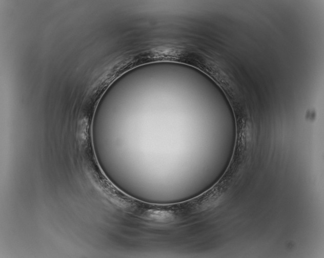 X0000113620649200910021829