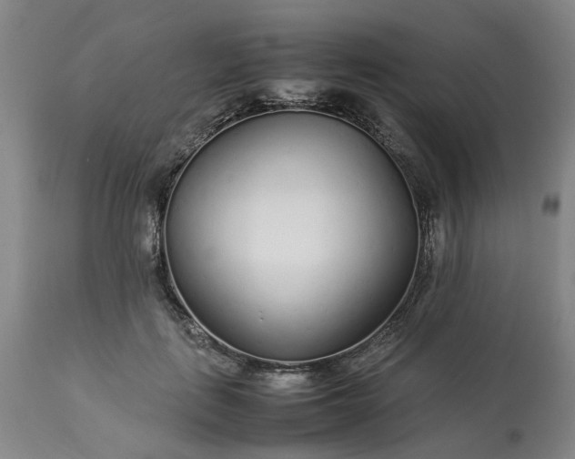 X0000113620651200910021830