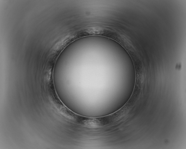 X0000113620652200910021830