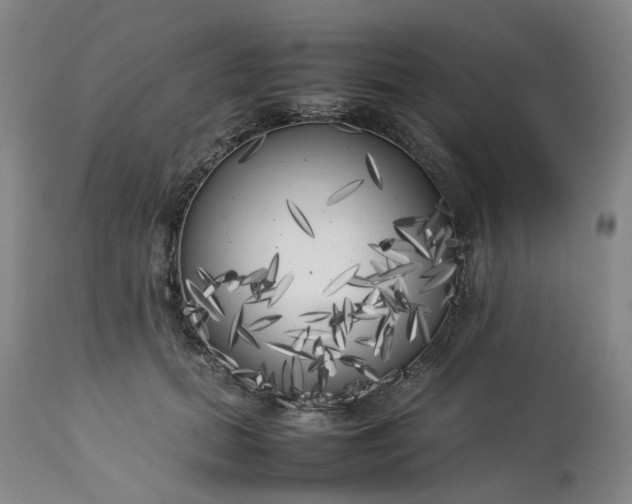 X0000113620655200910021830