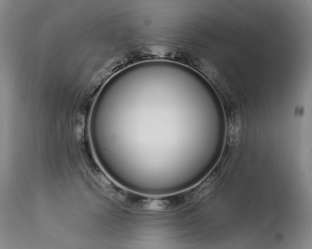 X0000113620656200910021830