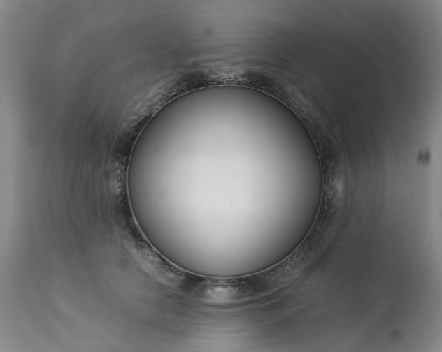 X0000113620658200910021830