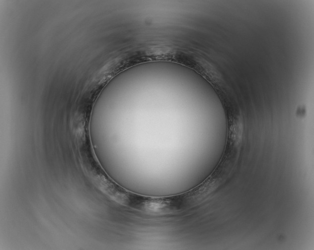 X0000113620662200910021830