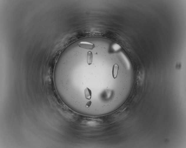 X0000113620663200910021830