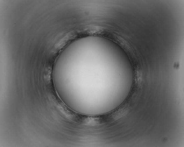 X0000113620664200910021830