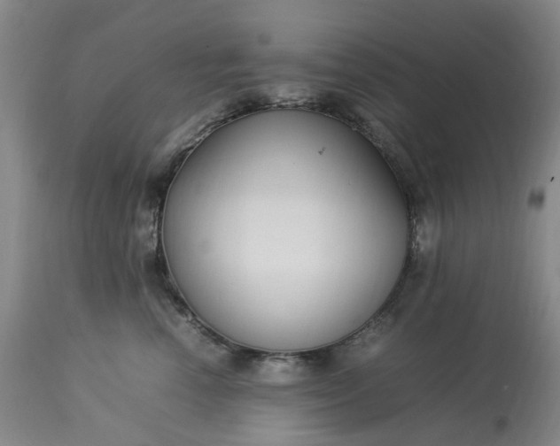 X0000113620666200910021830