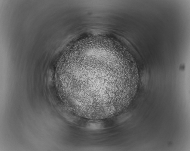 X0000113620667200910021830