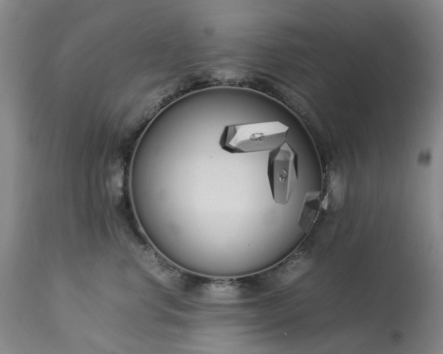 X0000113620668200910021830