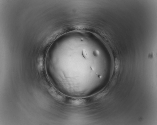 X0000113620670200910021830