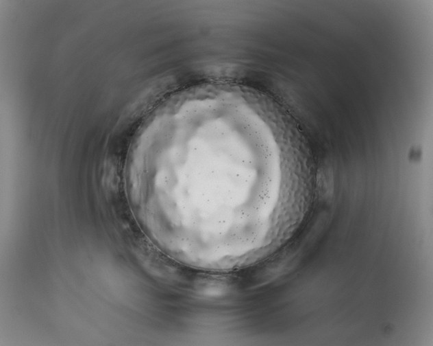 X0000113620671200910021830