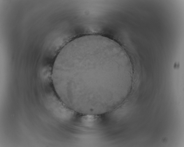 X0000113620672200910021830