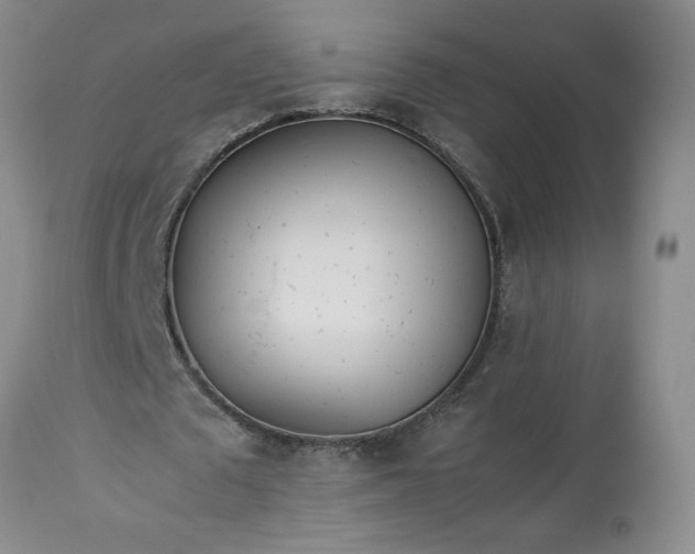 X0000113620673200910021829