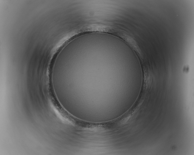 X0000113620674200910021829