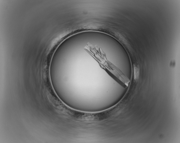 X0000113620675200910021829