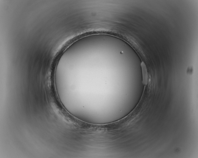 X0000113620676200910021829