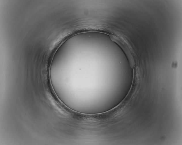 X0000113620677200910021829