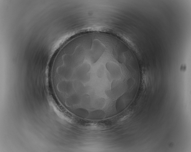 X0000113620678200910021829