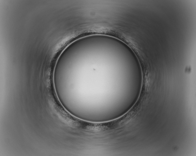 X0000113620679200910021829