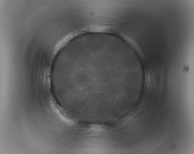 X0000113620682200910021828