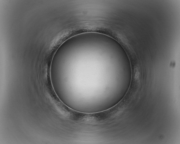 X0000113620685200910021828