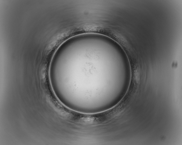 X0000113620687200910021828