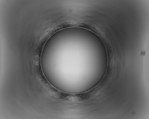 X0000113620689200910021828