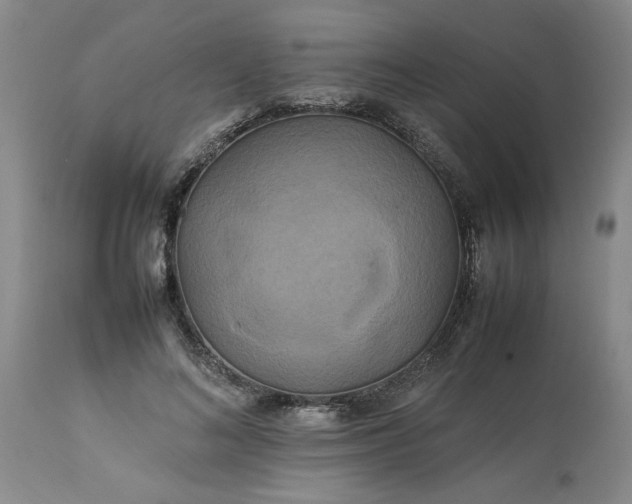 X0000113620692200910021828