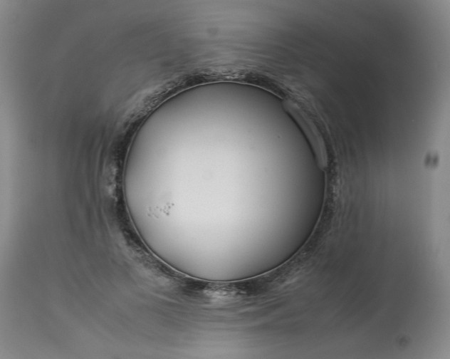 X0000113620693200910021828