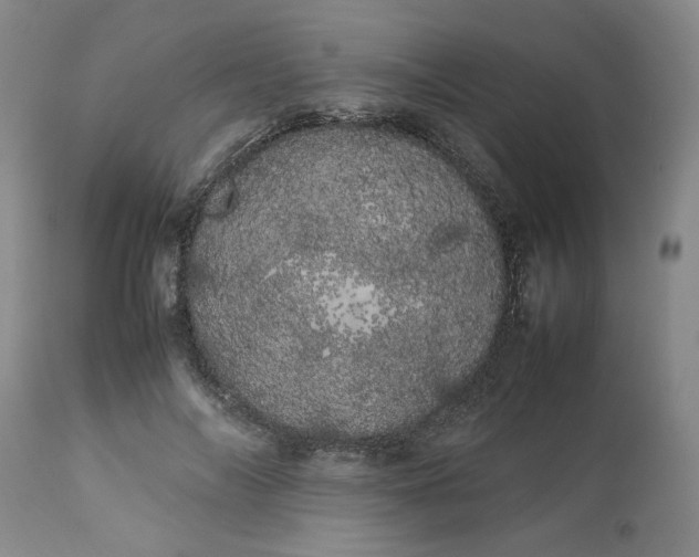 X0000113620694200910021828