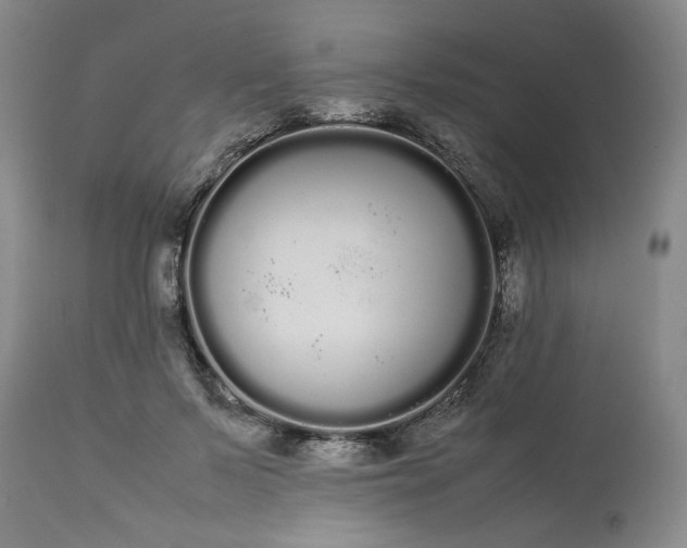 X0000113620695200910021828