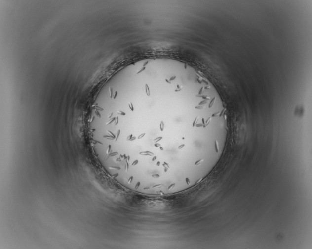 X0000113620698200910021828