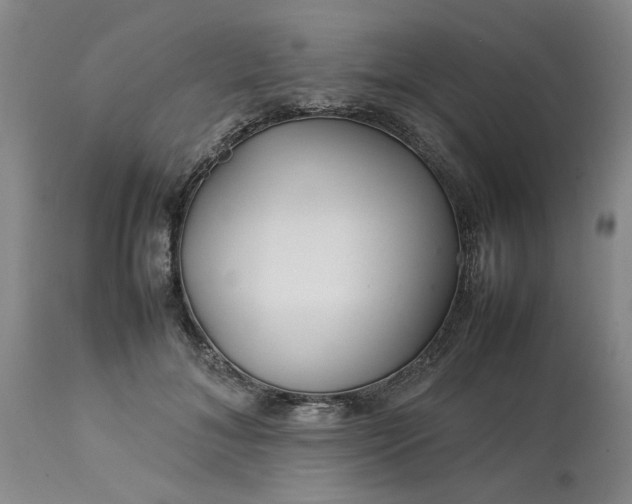 X0000113620700200910021828