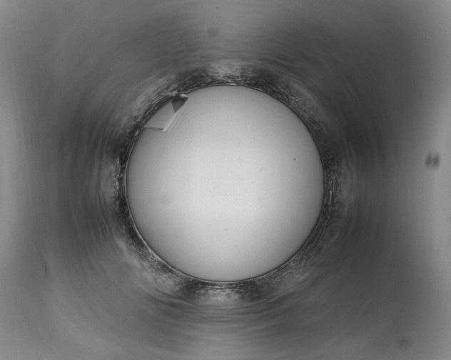 X0000113620702200910021828